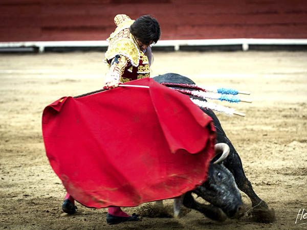 Dominio de las alturas