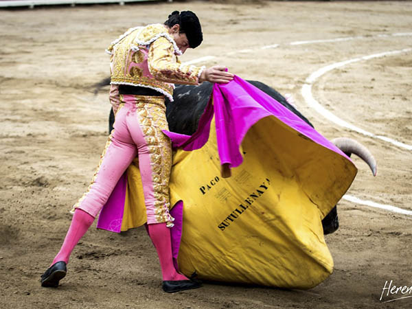 Saludo a la ver�nica