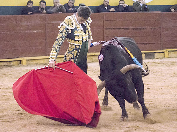 Tirando del ejemplar