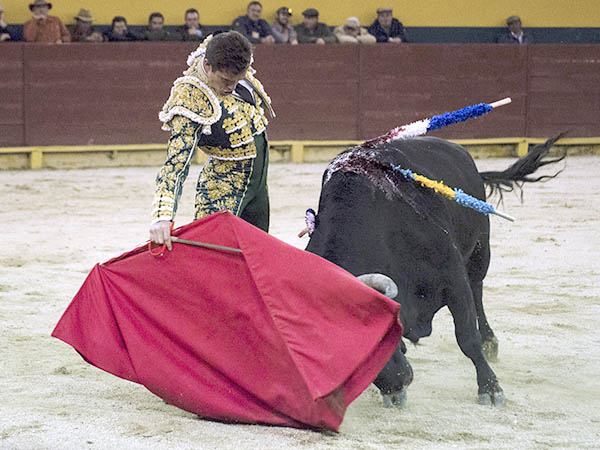 La cabeza a media altura