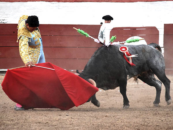 Tirando del c�rdeno