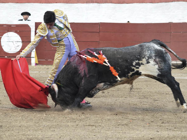 Determinaci�n potosina