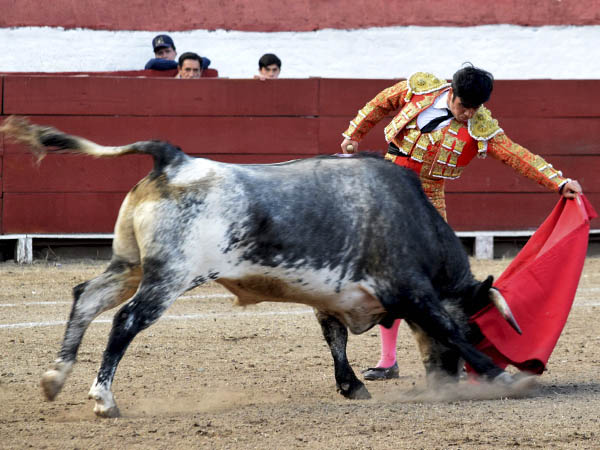 Metido en la muleta
