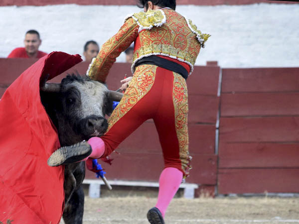 Le apunt� el pit�n