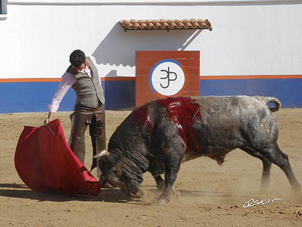 Sometiendo al c�rdeno