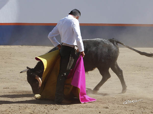 Zotoluco, en maestro