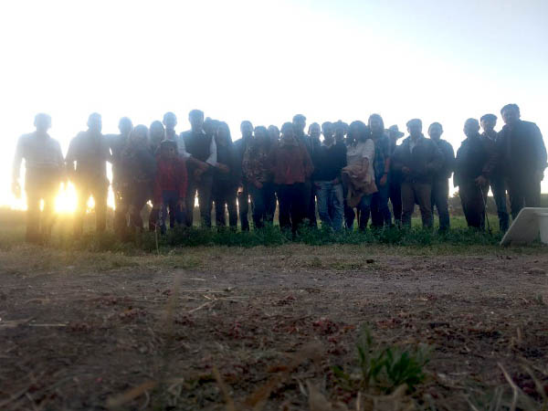 Contraluz en el campo