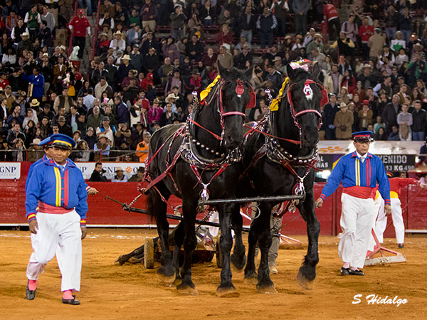 El arrastre lento para 
