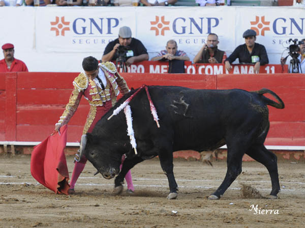 Determinaci�n de novillero