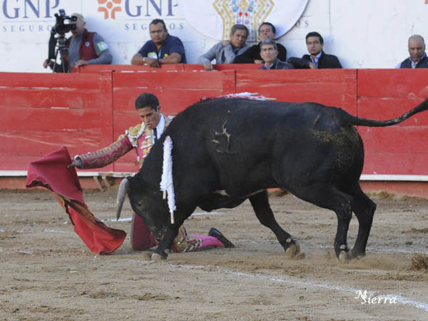 De hinojos sobre las rayas