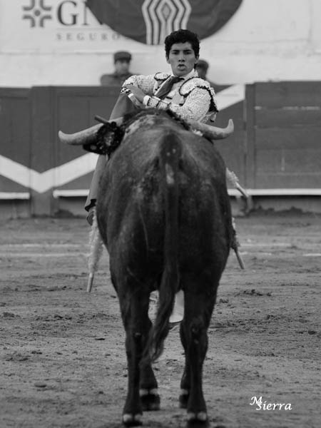 En la cara del c�rdeno