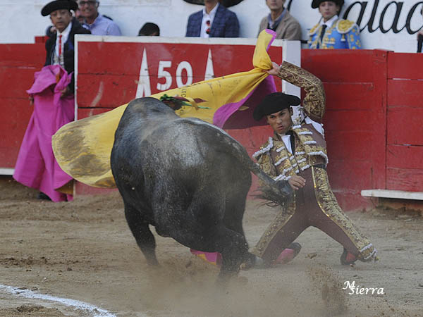 Bienvenida de Francisco Mart�nez