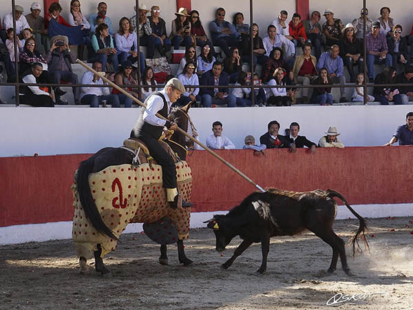 La vara de Mart�n Carrillo