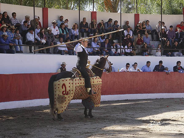 Encelando a la distancia