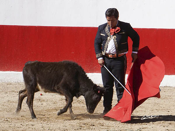 Desmayando el enga�o