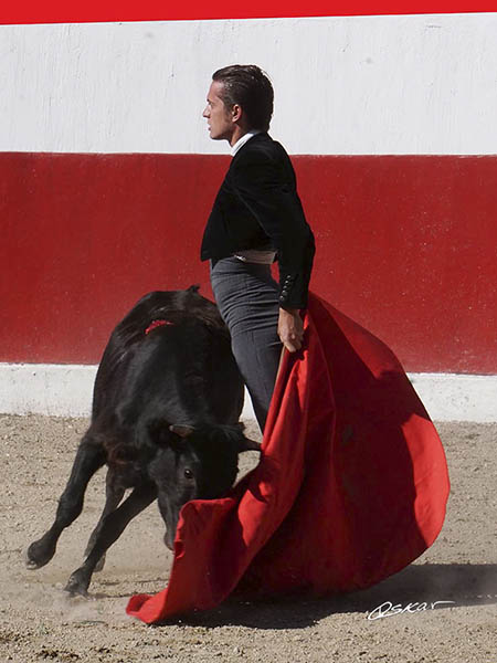 El pecho por delante