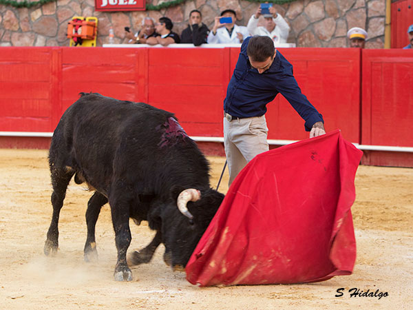 Metido en la muleta