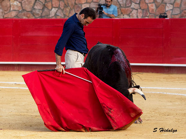 Disfrutando el toreo