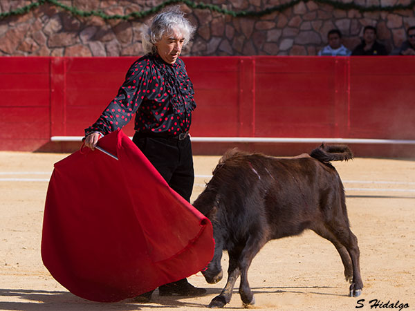 Luis Marco, vertical