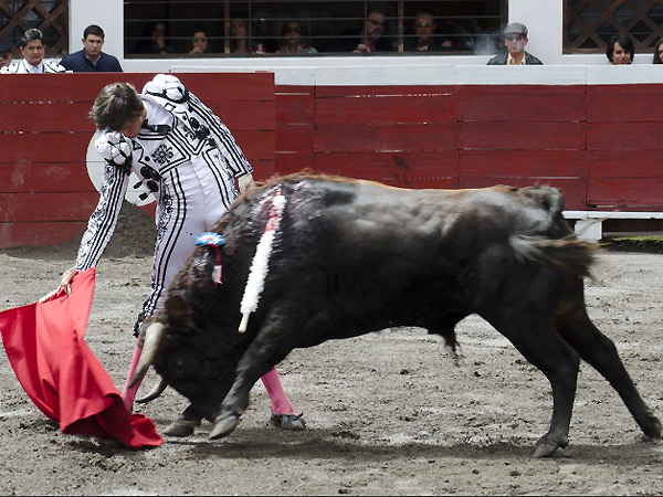Asentado y torero