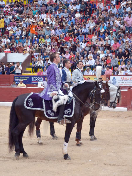 Estrellas del rejoneo