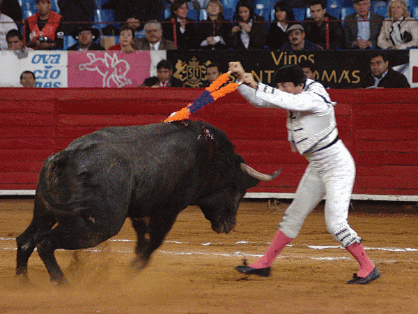 Buen par de Ra�l  Bacelis (T.A)