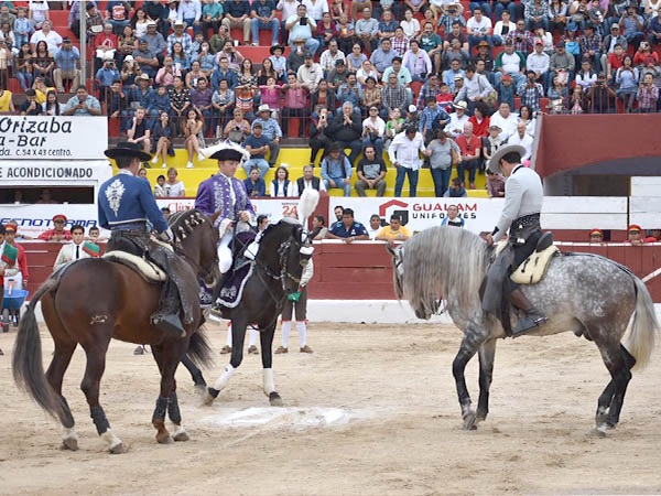 Evoluciones ecuestres