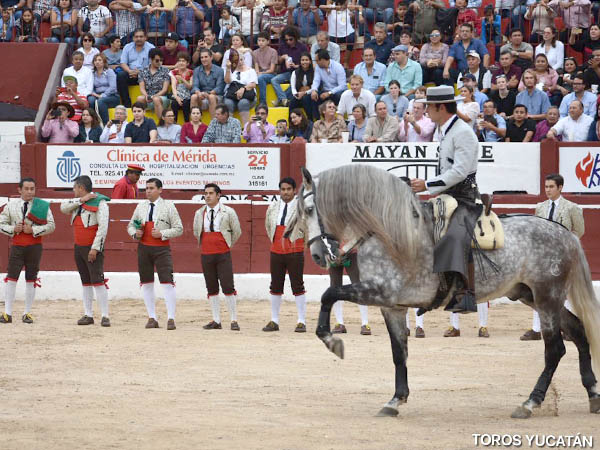 Torer�a y elegancia