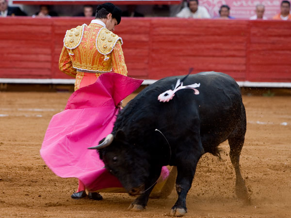 Pinturero remate de Mauricio  (S.H)