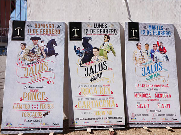 Carnaval en Jalostotitl�n