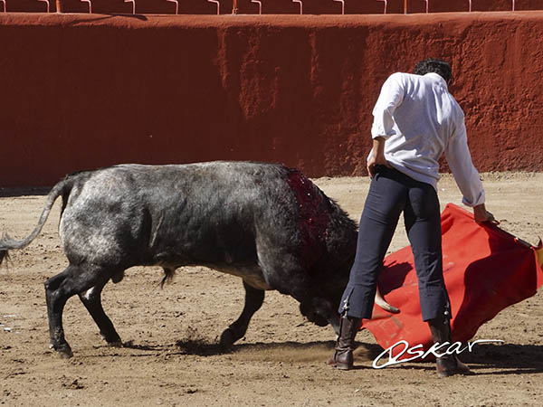 Llev�ndolo toreado