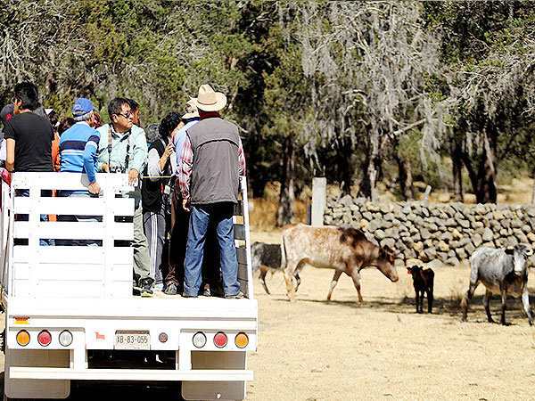 Viviendo una gran experiencia