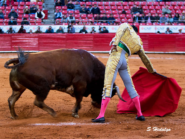 Pinceladas con el cuarto