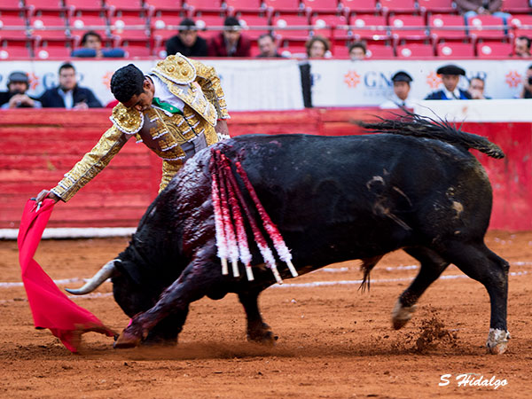 Profesional como siempre