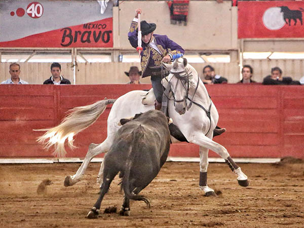 A continuar la estirpe