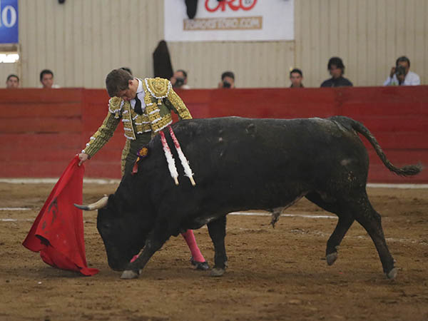 La barbilla en el pecho
