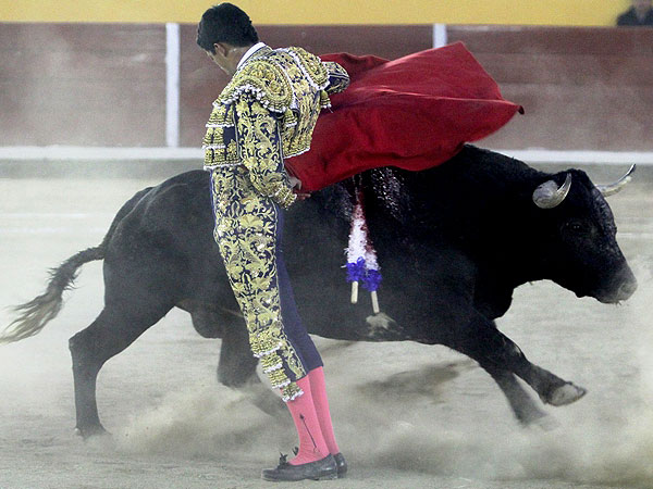 Abrochando  por alto