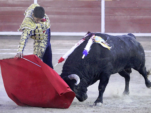 Llev�ndole toreado