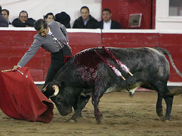 Acompa�ando con la voz