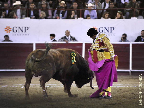 Leo, por chicuelinas