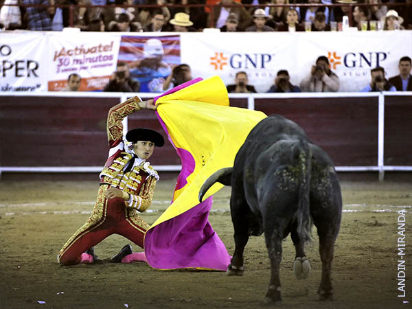 Roca Rey, a por todas