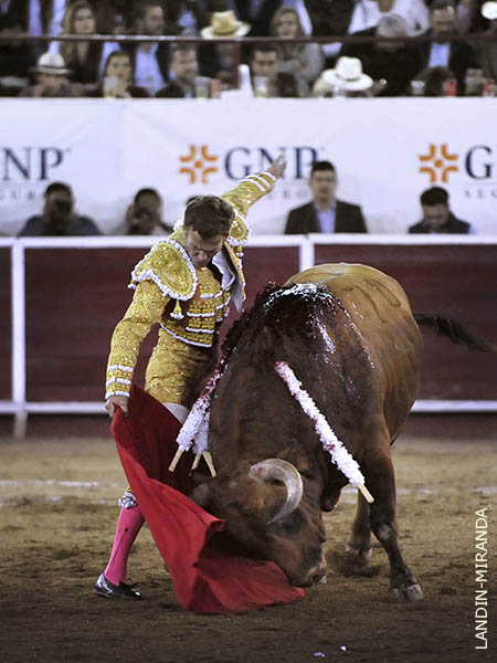 Le pis� mucho terreno