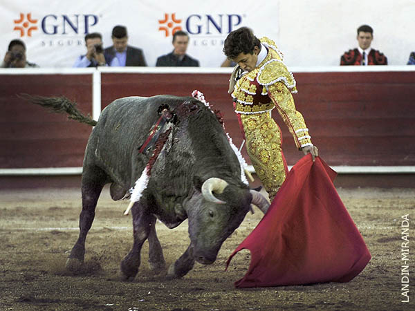 Reposada serie al natural