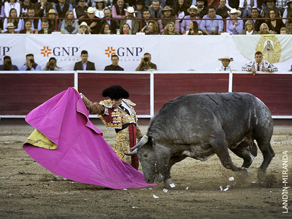 Varios pasajes de rodillas