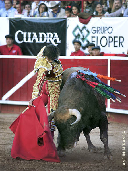 Imposible m�s ce�ido