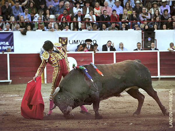 La faena en los medios