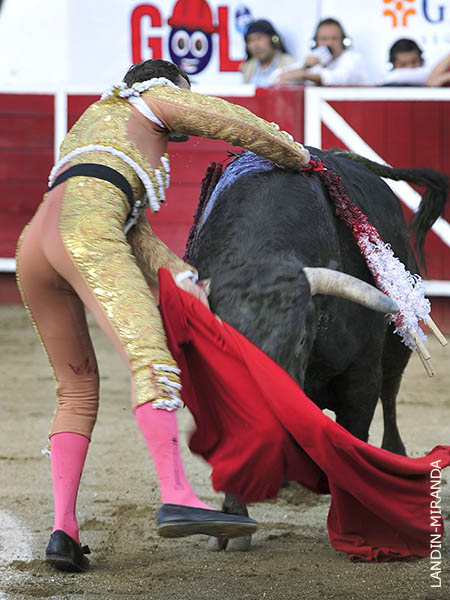 Cornada cerrada en el muslo