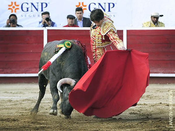 Un c�rdeno con nobleza