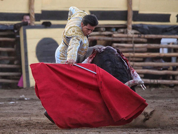 Largueza tlaxcalteca