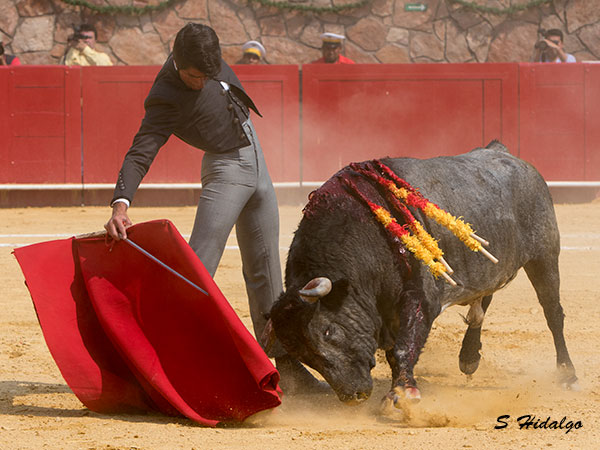 La afici�n enloqueci�